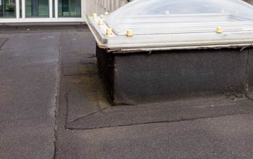 disadvantages of Dunslea flat roofs