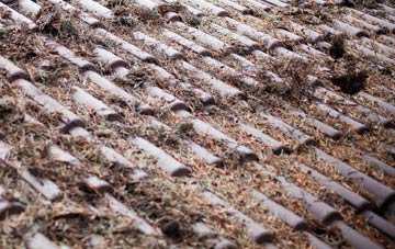 Dunslea roof cleaning companies